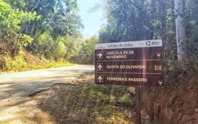 Enoturismo, gastronomia e lazer no Roteiro do Vinho