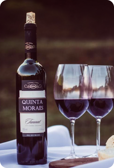capa-quinta-moraes